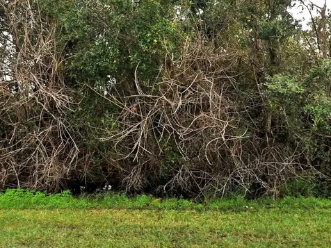 1502 SW Del Rio Boulevard Port St Lucie FL 34953