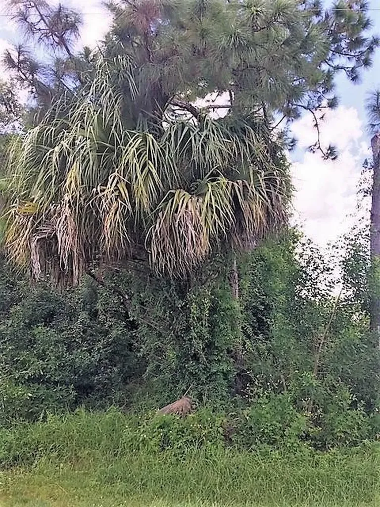 758 NW Bristol Street Port St Lucie FL 34983