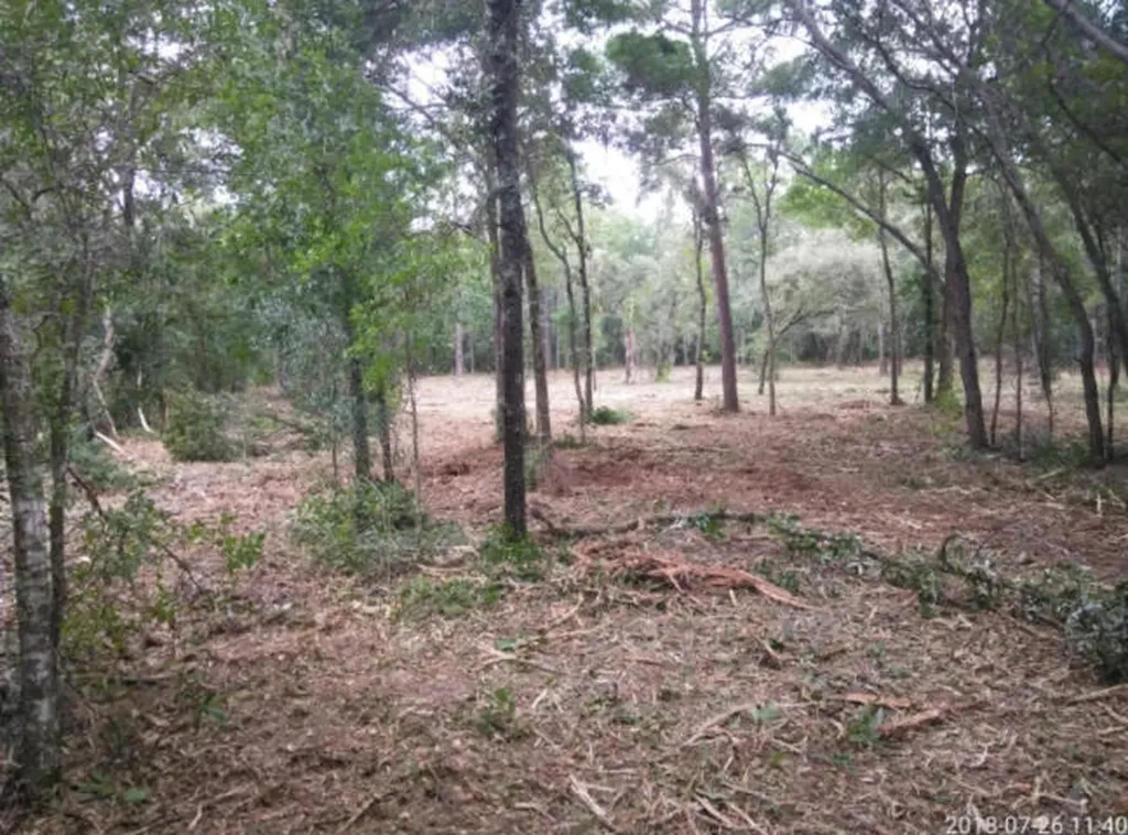 948 N Croft Avenue Inverness FL 34453