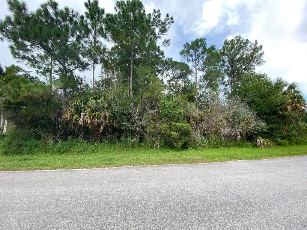 2017 SW Driftwood Street Port St Lucie FL 34953