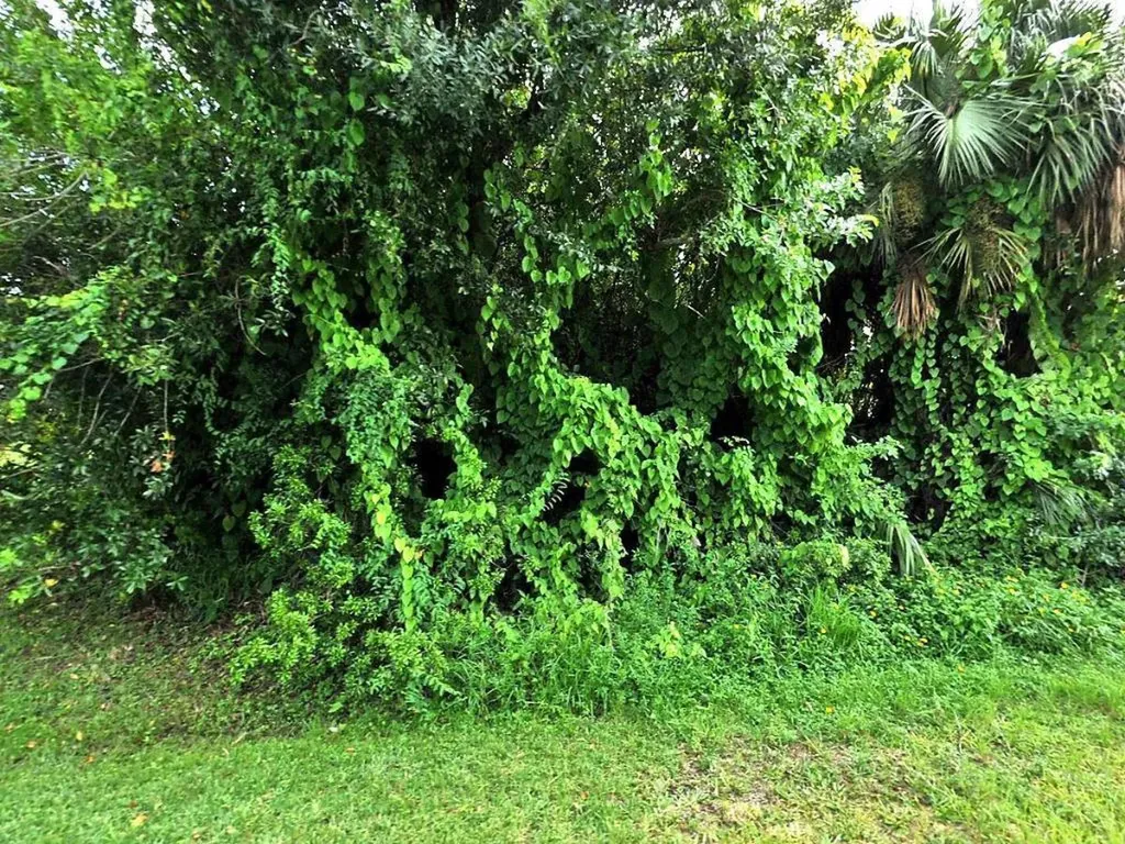 8203 Penny Lane Fort Pierce FL 34951