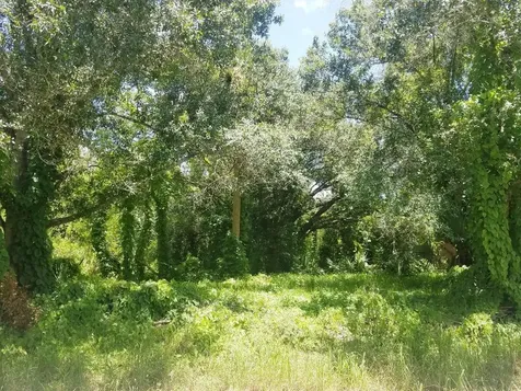 7878 NW 81st Court Okeechobee FL 34972