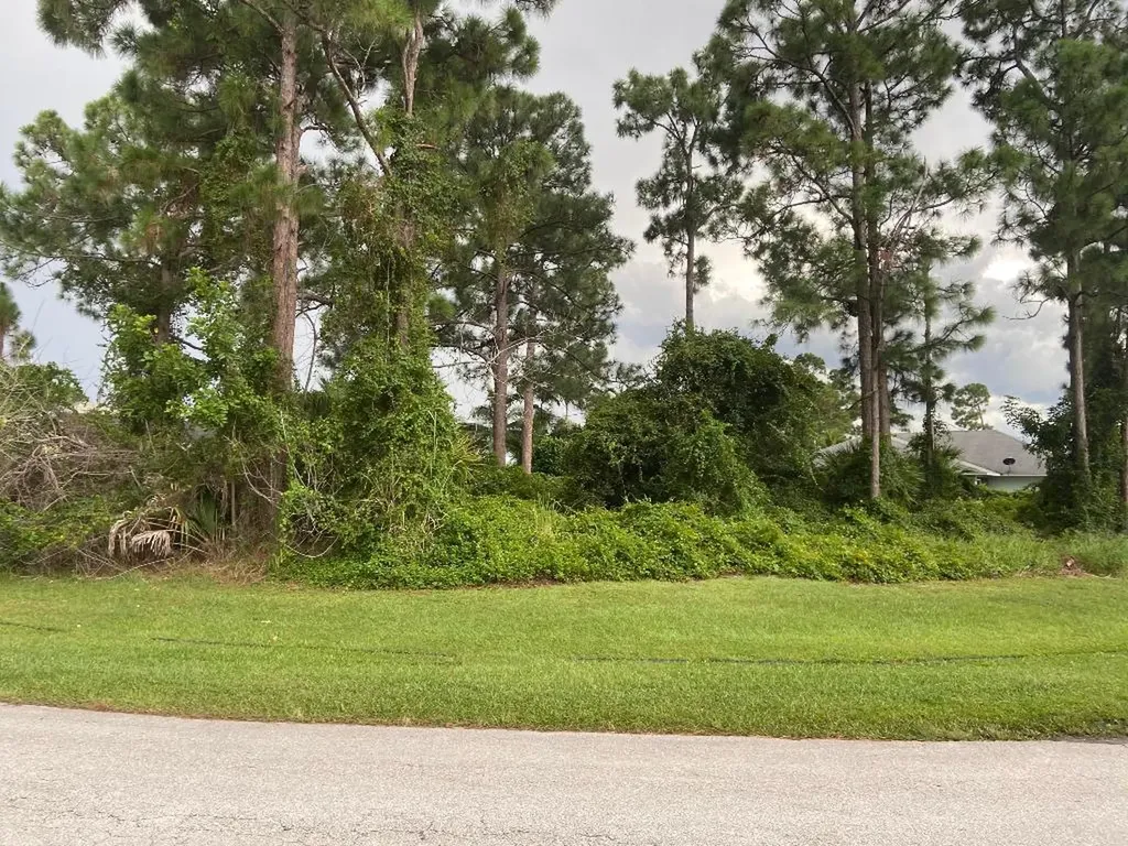 1898 SW Capehart Avenue Port St Lucie FL 34953