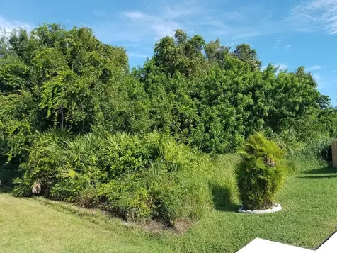 1323 SE Petunia Avenue Port St Lucie FL 34952