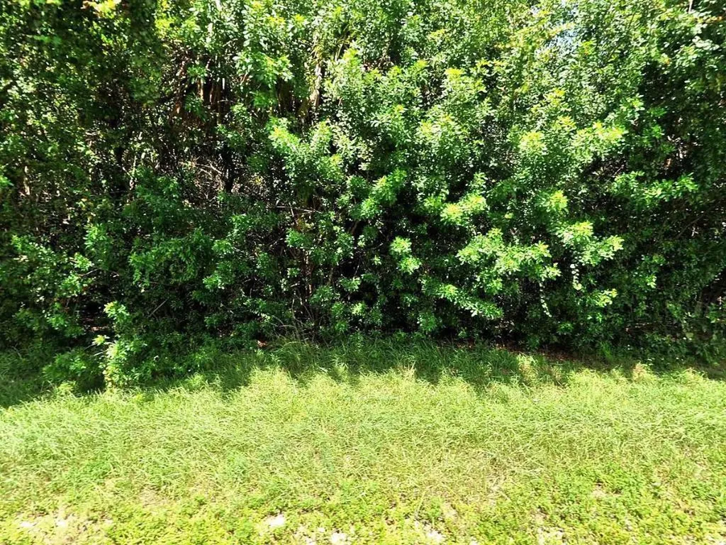 545 SW Inez Court Port St Lucie FL 34953