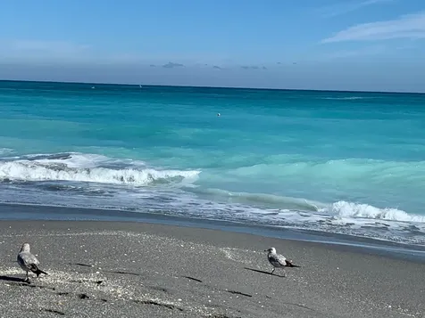 400 N Highway A1a Jupiter FL 33477