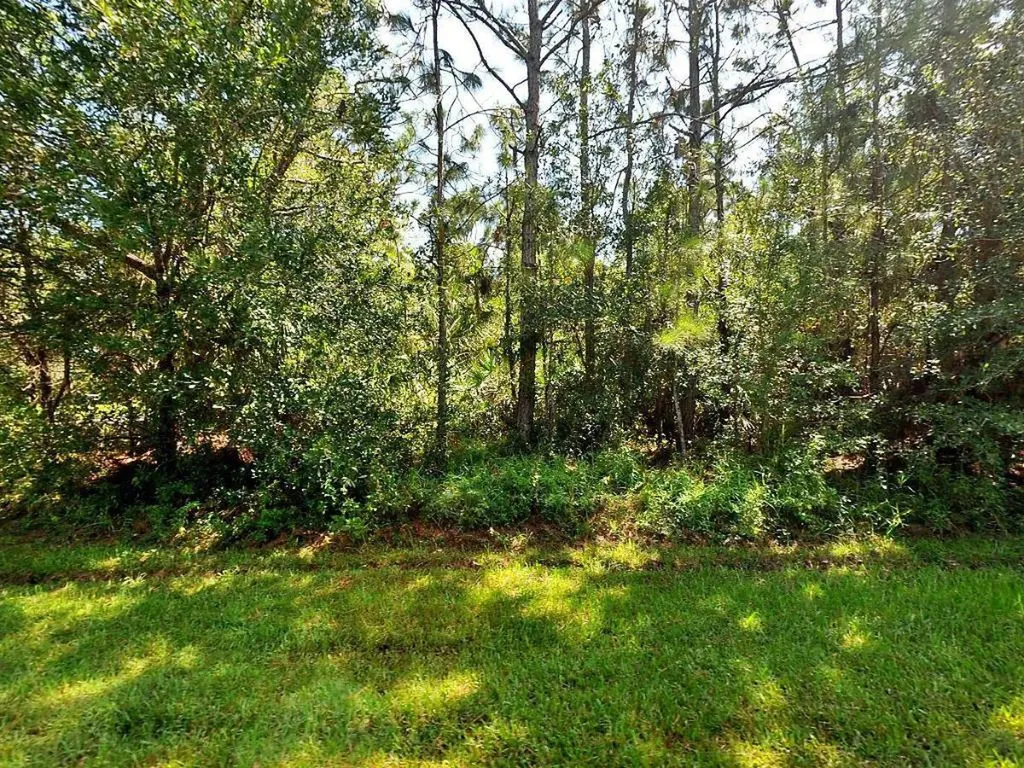 374 SW Duxbury Avenue Port St Lucie FL 34983