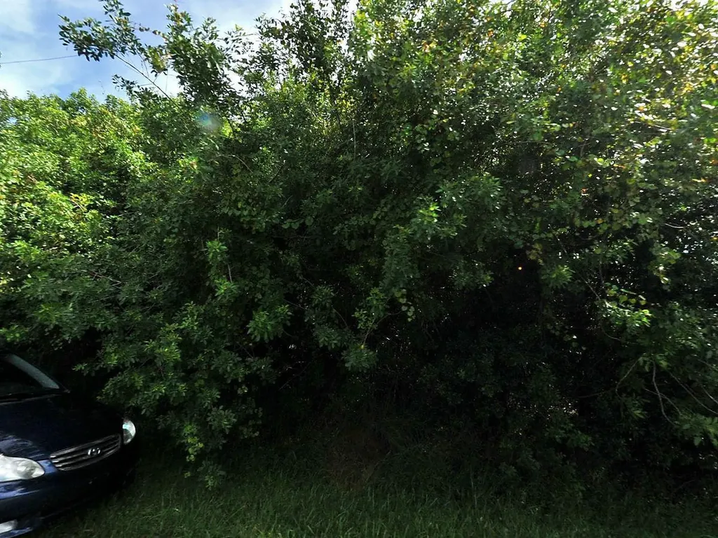 421 SW Kestor Drive Port St Lucie FL 34953