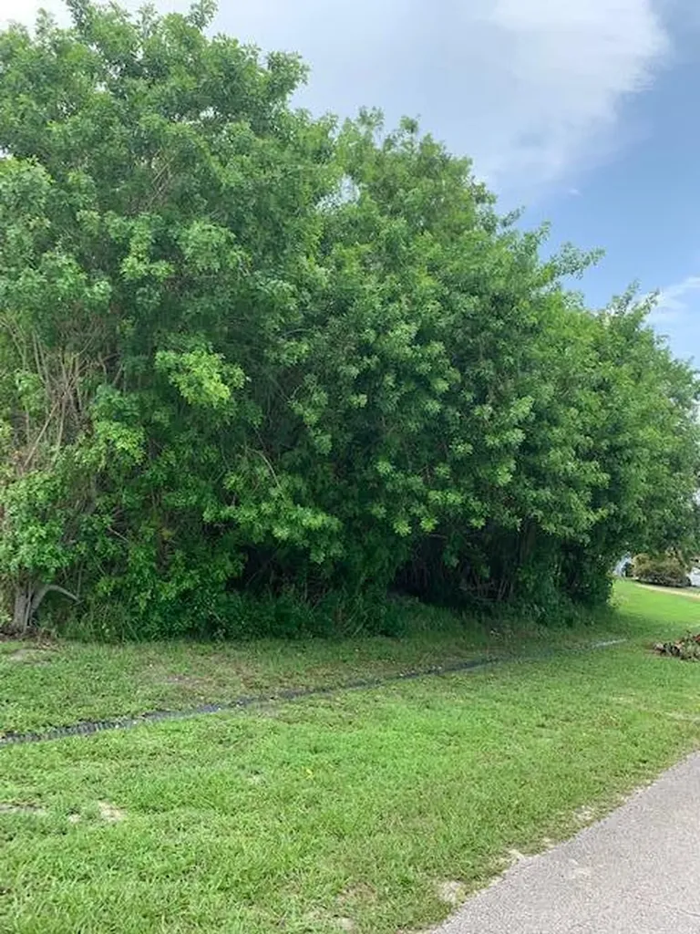 3120 SW Ann Arbor Road Port St Lucie FL 34953