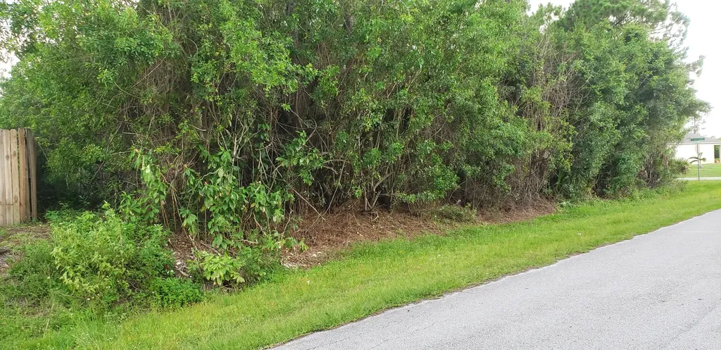 4201 SW Mcclellen Street Port St Lucie FL 34953