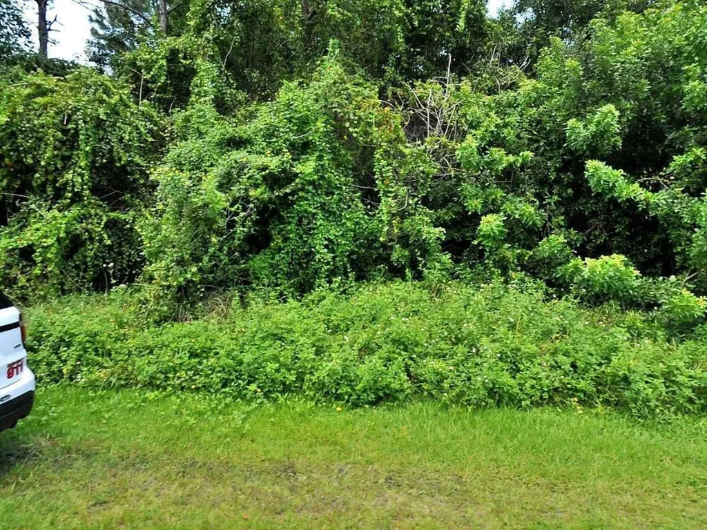 513 SE Felix Avenue Port St Lucie FL 34984