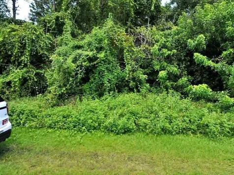 513 SE Felix Avenue Port St Lucie FL 34984