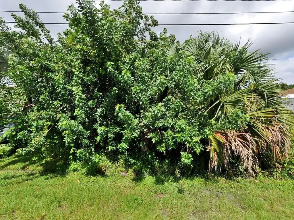 2875 SW West Louise Circle Port St Lucie FL 34953