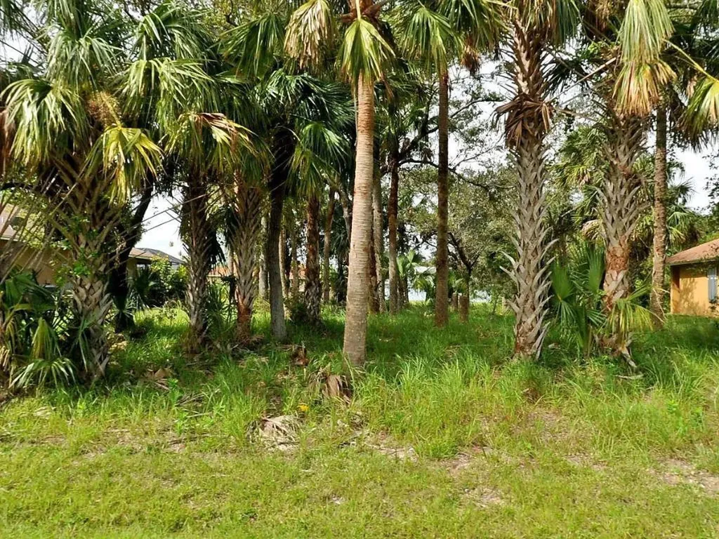 2384 SW Pamona Street Port St Lucie FL 34953