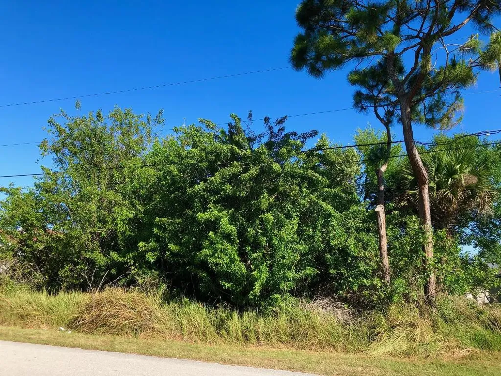 1441 SW Stony Avenue Port St Lucie FL 34953