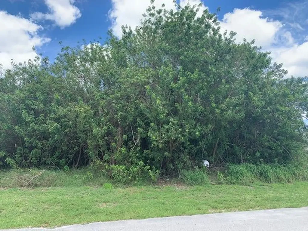 1015 SW Locke Avenue Port St Lucie FL 34953