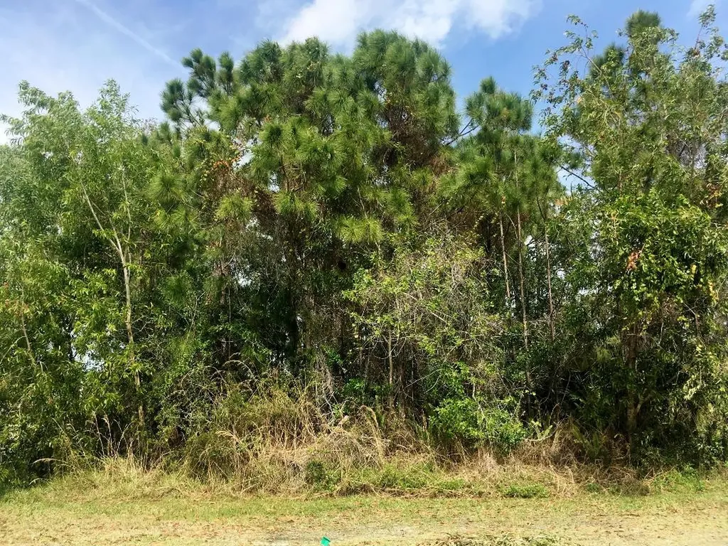 2601 SE Ruffin Terrace Port St Lucie FL 34952