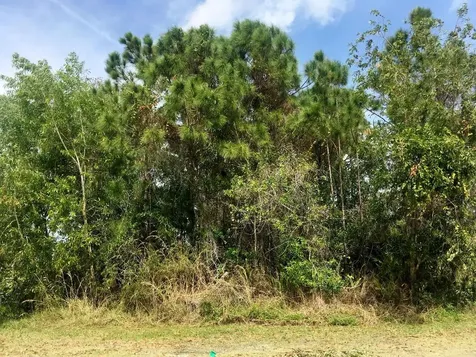 2601 SE Ruffin Terrace Port St Lucie FL 34952