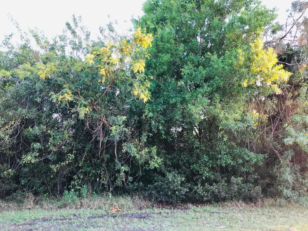 510 SW Dahled Avenue Port St Lucie FL 34953