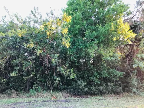 510 SW Dahled Avenue Port St Lucie FL 34953