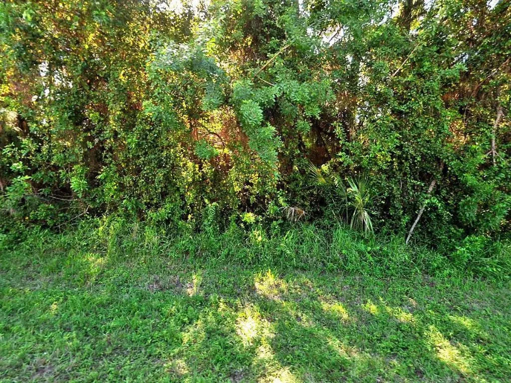 333 SW Enon Street Port St Lucie FL 34953