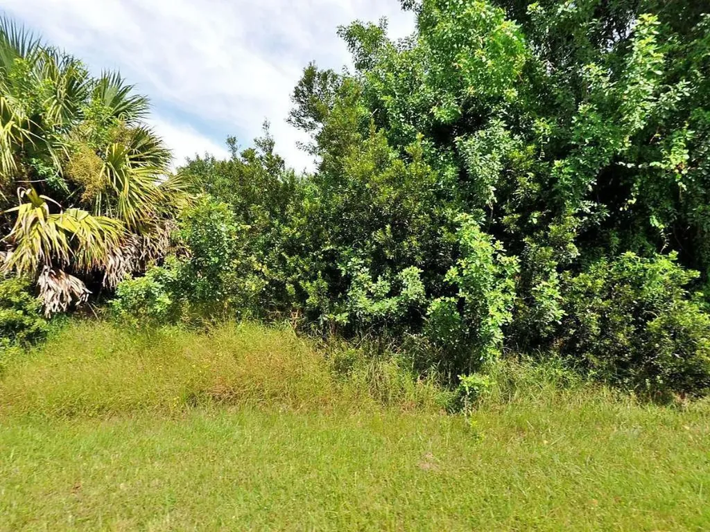 4673 SW Bradbury Street Port St Lucie FL 34953