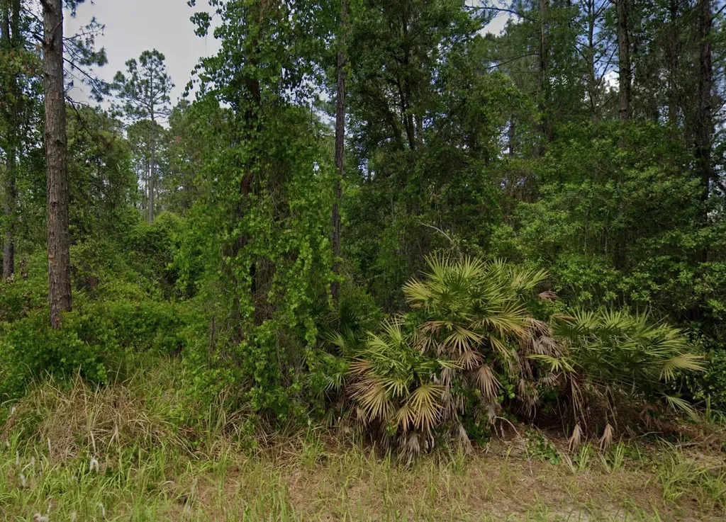 138 Pine Tree Drive Palatka FL 32177