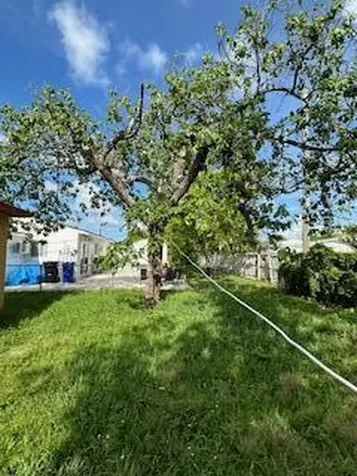 46 NE 172nd Street North Miami Beach FL 33162