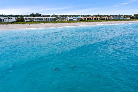 120 Celestial Way Juno Beach FL 33408