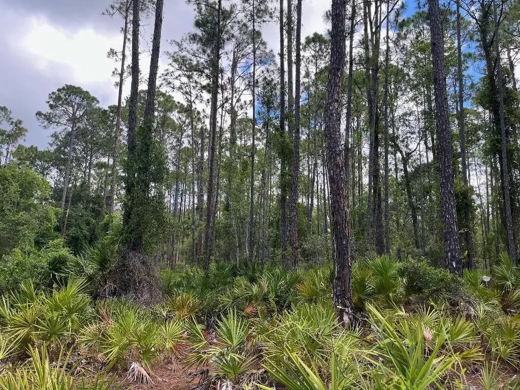 222 Marie Avenue Georgetown FL 32139