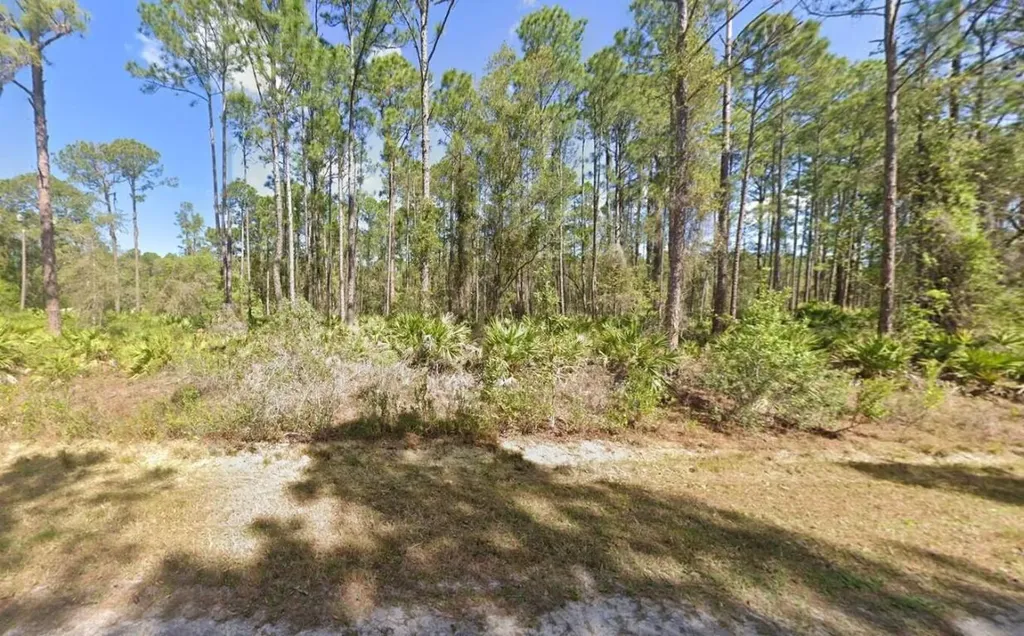 222 Marie Avenue Georgetown FL 32139