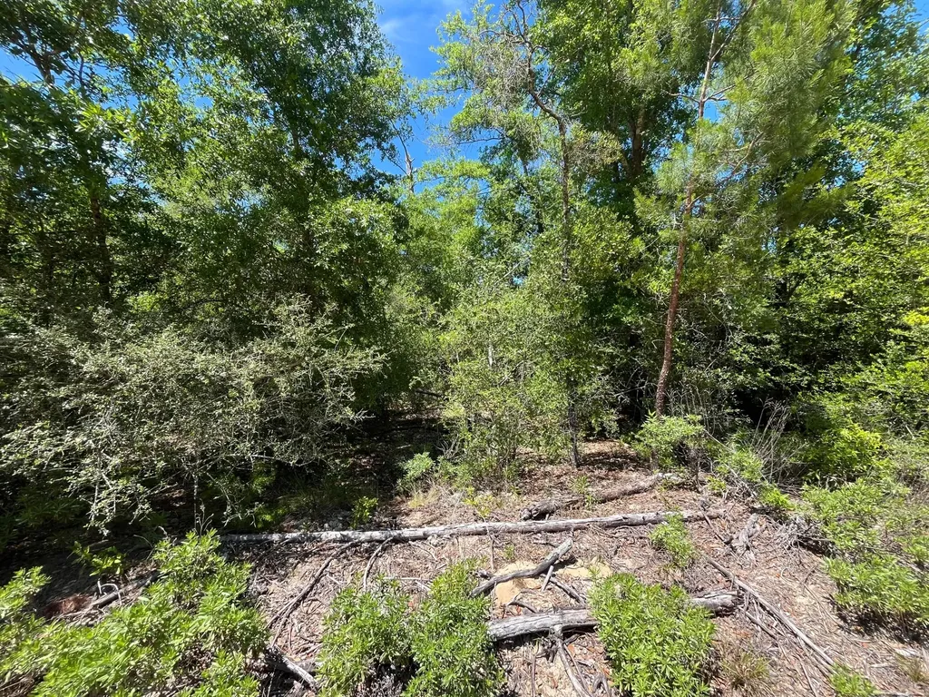 0 Hocking Street Alford FL 32420