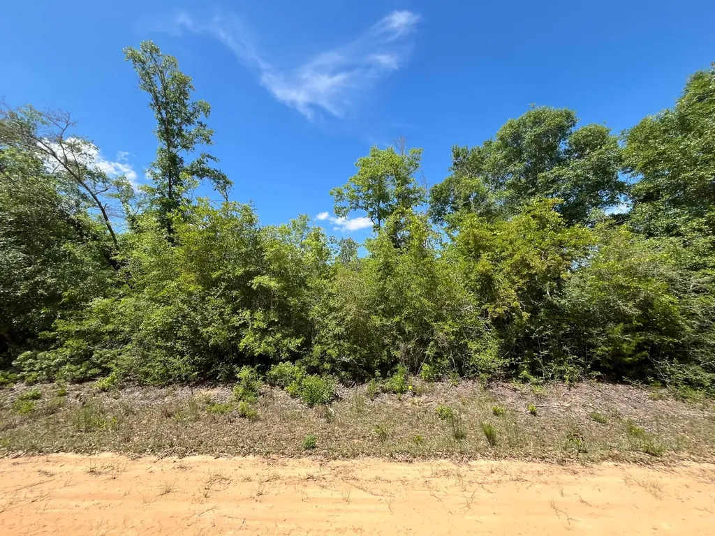 0 Hocking Street Alford FL 32420