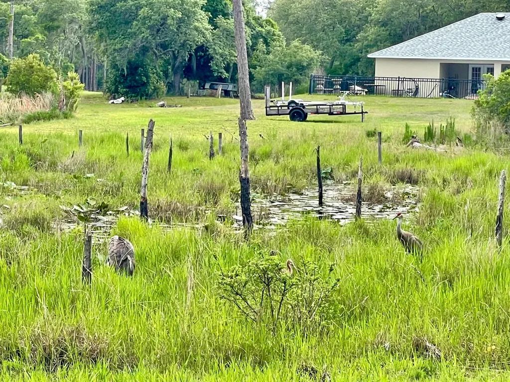 42111 Chinaberry Court Eustis FL 32736