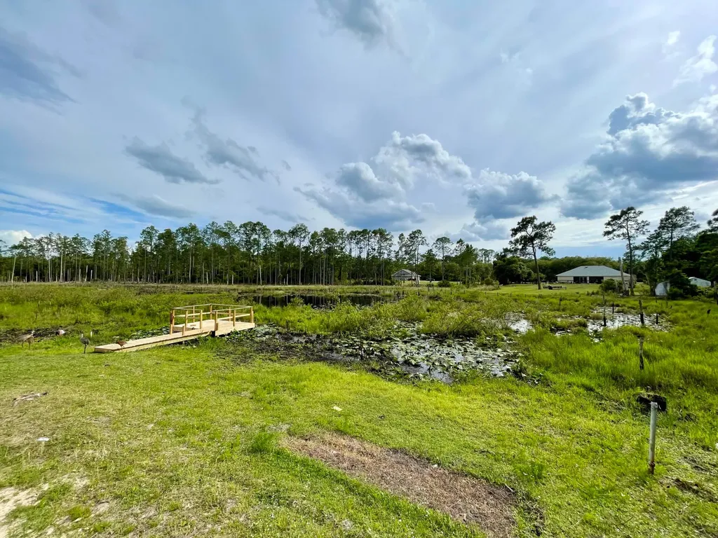 42111 Chinaberry Court Eustis FL 32736