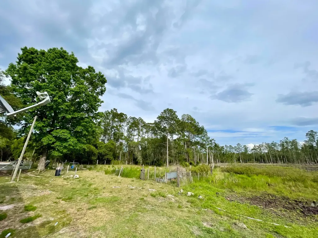 42111 Chinaberry Court Eustis FL 32736