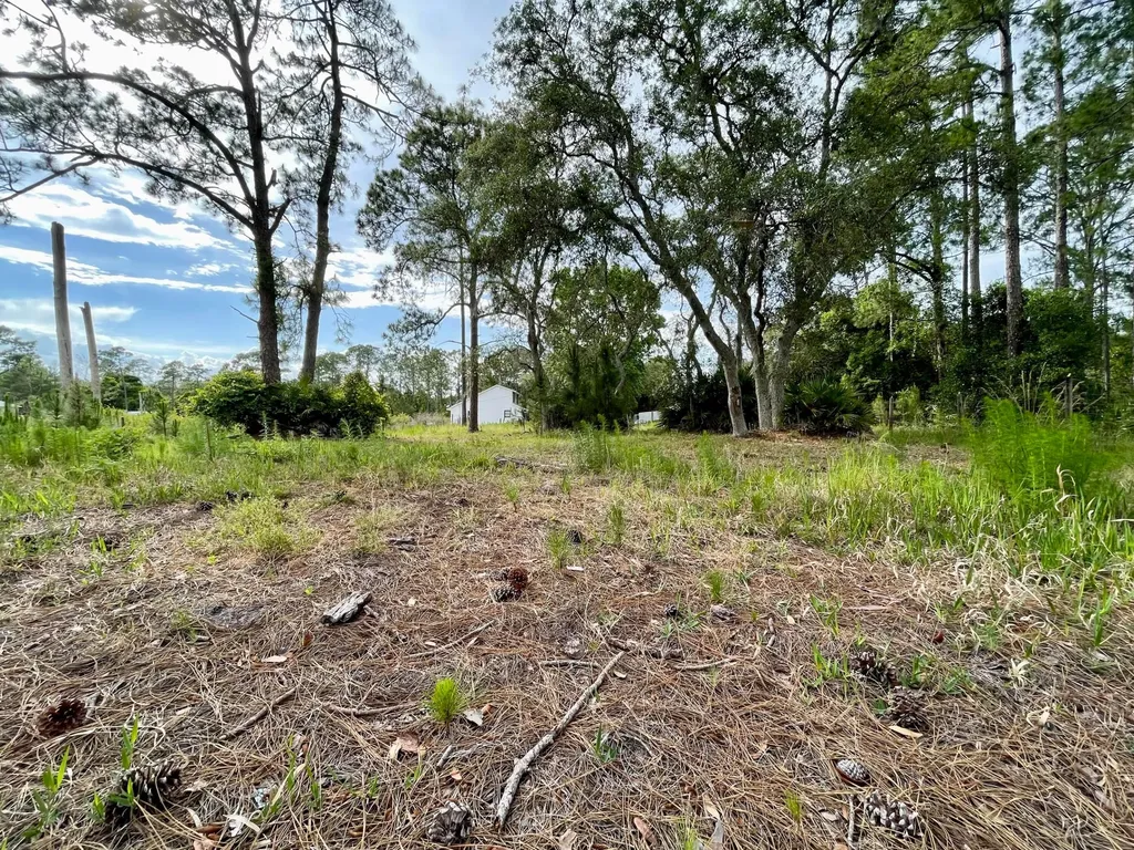 42111 Chinaberry Court Eustis FL 32736