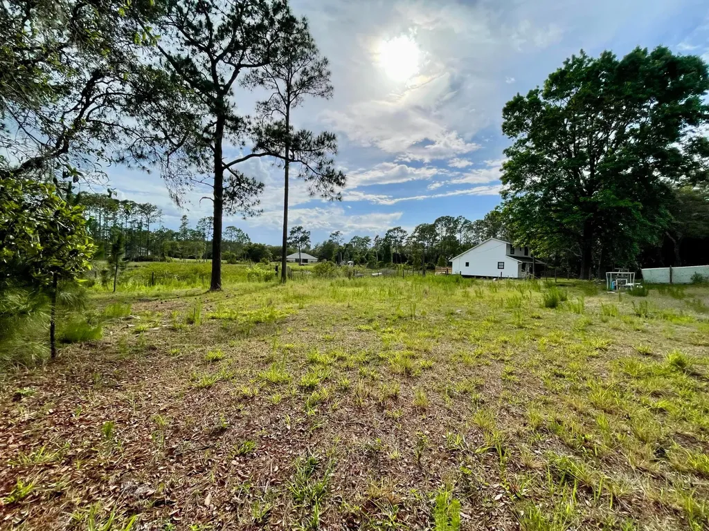 42111 Chinaberry Court Eustis FL 32736