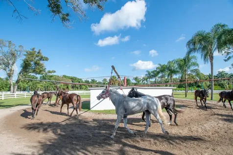 1044 D Road Loxahatchee Groves FL 33470