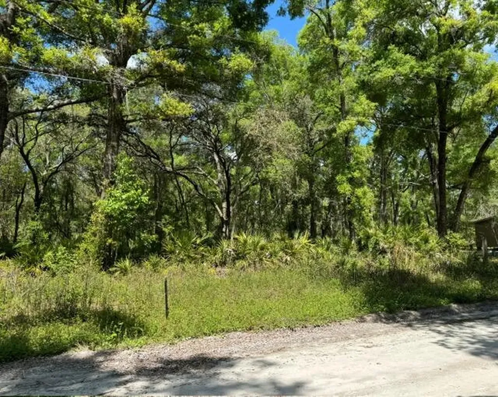 Tbd NE 472nd Avenue Old Town FL 32680