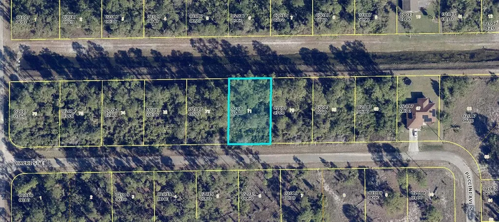 1113 Capri Street E Lehigh Acres FL 33974