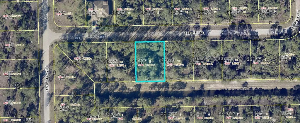 1214 Raphia Street E Lehigh Acres FL 33974