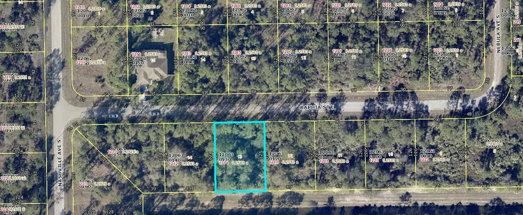 1214 Raphia Street E Lehigh Acres FL 33974