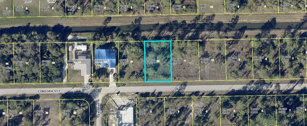 1229 Cordoba Street E Lehigh Acres FL 33974