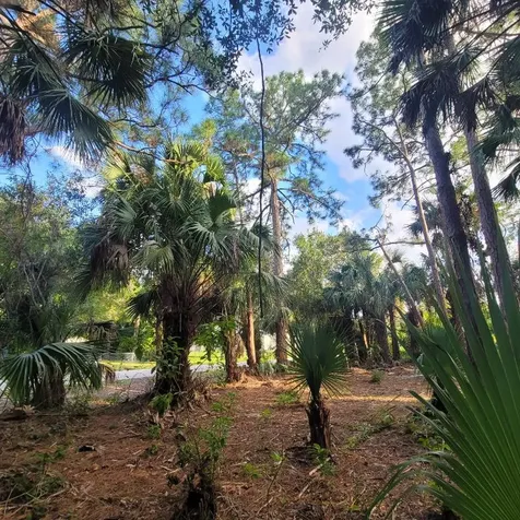 8501 N Pennylane Fort Pierce FL 34951