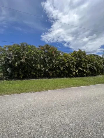4517 SW Cacao Street Port St Lucie FL 34953