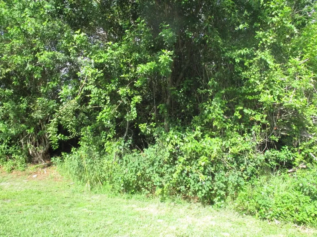 3512 SW Dellamano Street Port St Lucie FL 34953