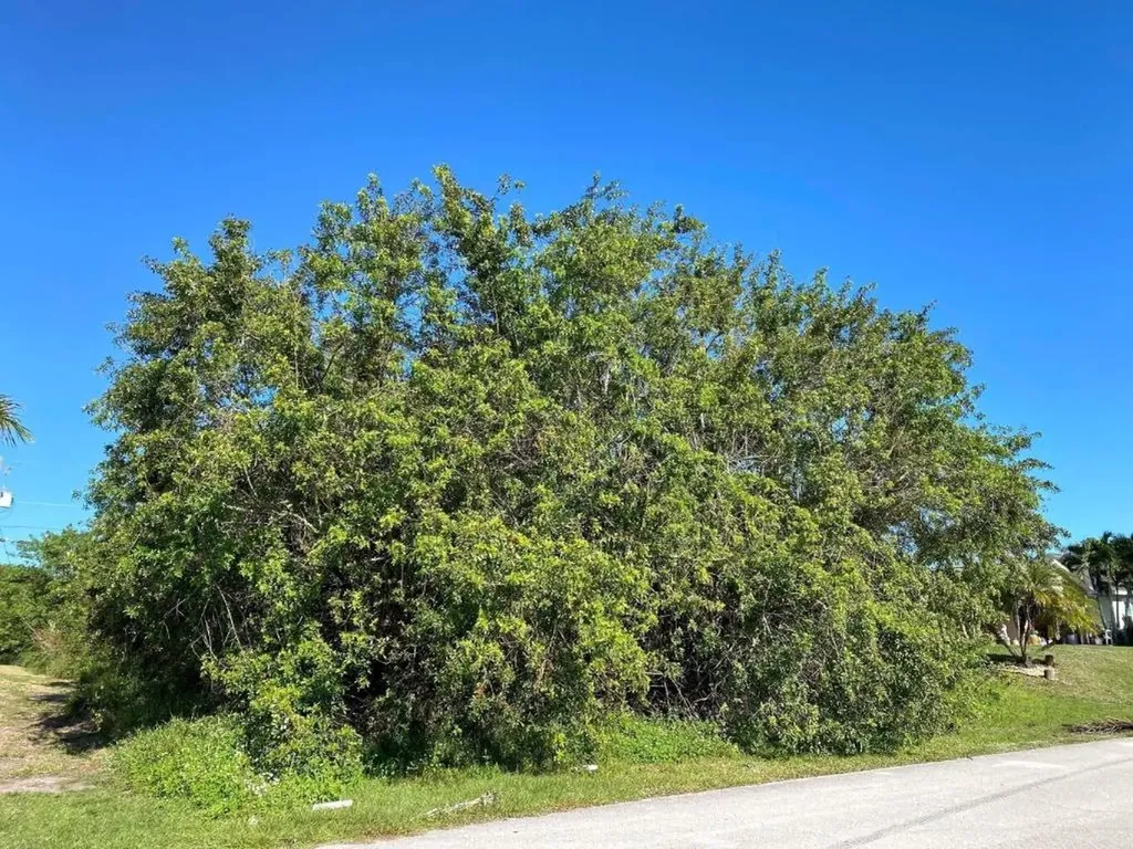 319 SW Dustin Avenue Port St Lucie FL 34953