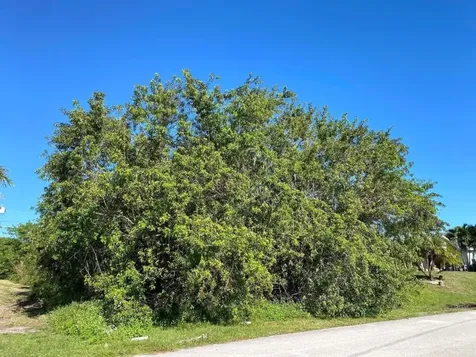 319 SW Dustin Avenue Port St Lucie FL 34953