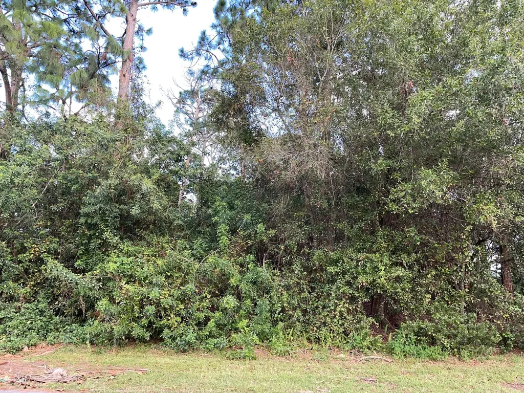 2557 SW Altosta Street Port St Lucie FL 34953